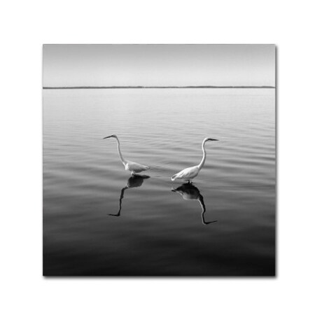 Trademark Fine Art Moises Levy '2 Herons' Canvas Art, 18x18 ALI1086-C1818GG